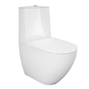 Des Monoblock - WC, wandbündig, Rimless mit versteckter Befestigung - MEGART