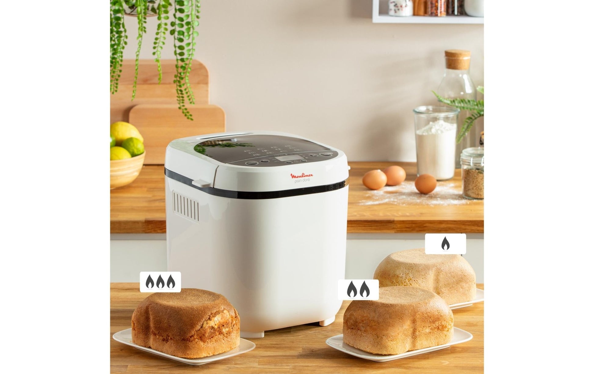 Brotbackmaschine Pain Doré 1000 g - MEGART