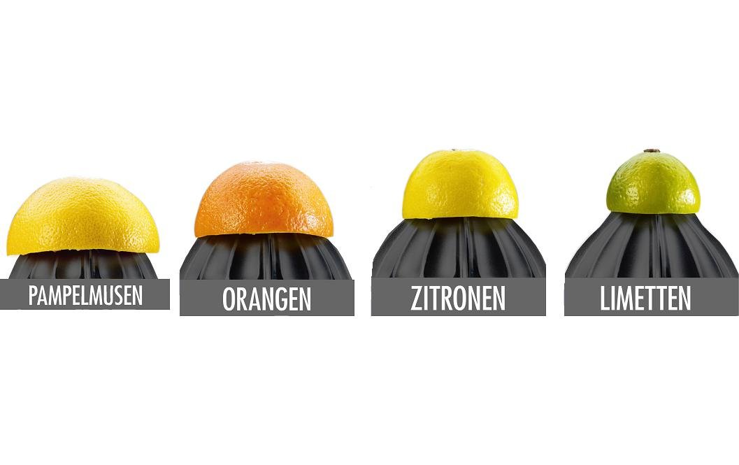 Saftpresse Home Culture Schwarz/Silber - MEGART