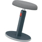 Leitz Ergo Cosy Active Sitz und Stehhocker Grau - MEGART
