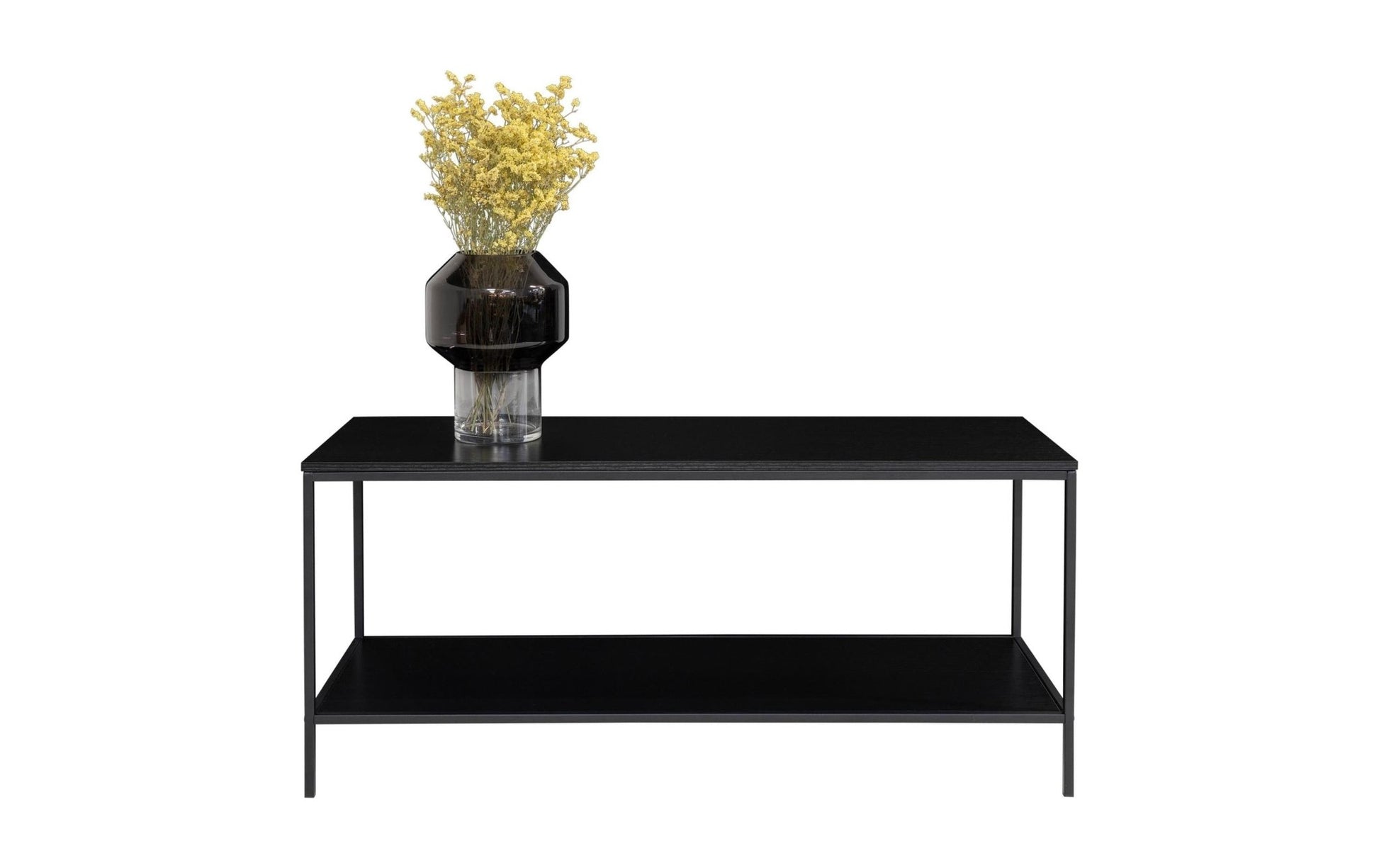 TV - Möbel Vita 36 x 100 cm, Schwarz - MEGART