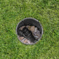Sprinklersystem Druckminderer - MEGART