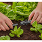 T - Stück für Sprühdüsen Micro - Drip - System 13 mm(1/2) 5 Stück - MEGART