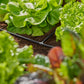 T - Stück Micro - Drip - System 3/16, 10 Stück - MEGART