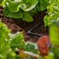 L - Stück Micro - Drip - System 3/16, 10 Stück - MEGART