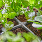 Kreuzstück Micro - Drip - System 3/16, 10 Stück - MEGART
