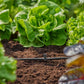T - Stück für Sprühdüsen Micro - Drip - System - MEGART