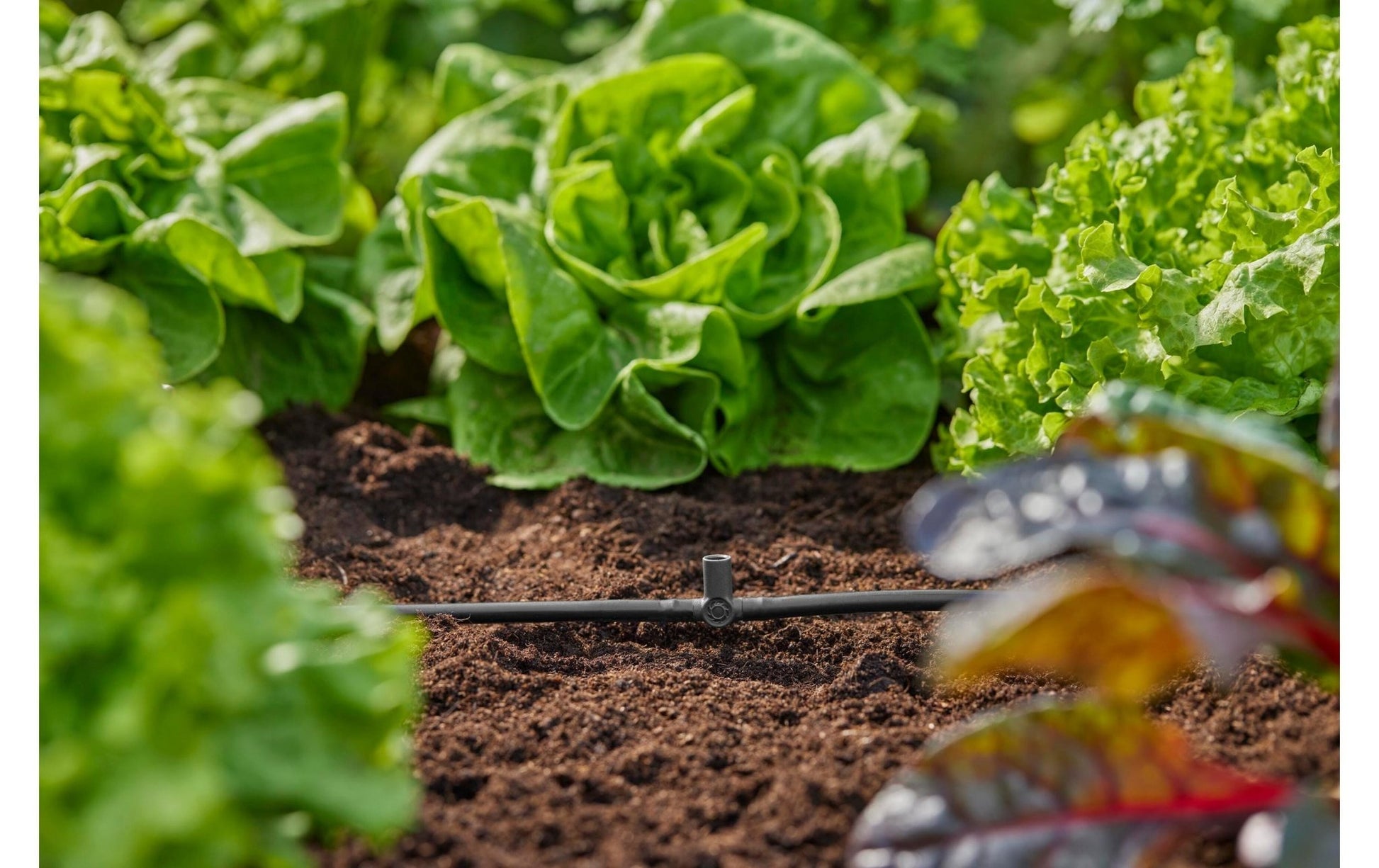 T - Stück für Sprühdüsen Micro - Drip - System - MEGART