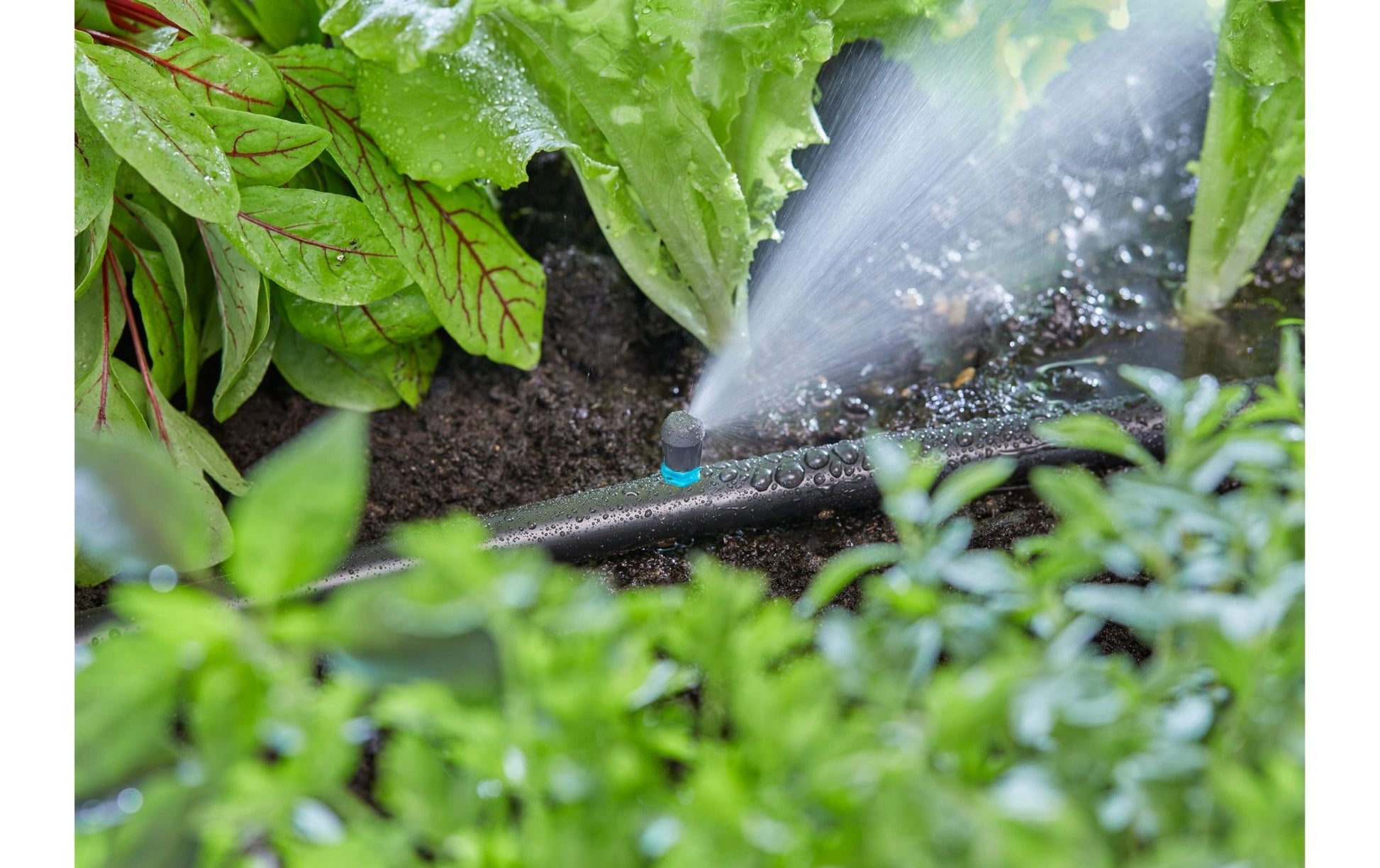 Endstreifendüse Micro - Drip - System - MEGART
