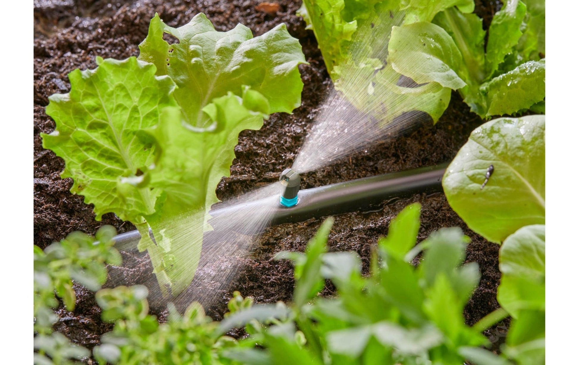 Streifendüse Micro - Drip - System - MEGART