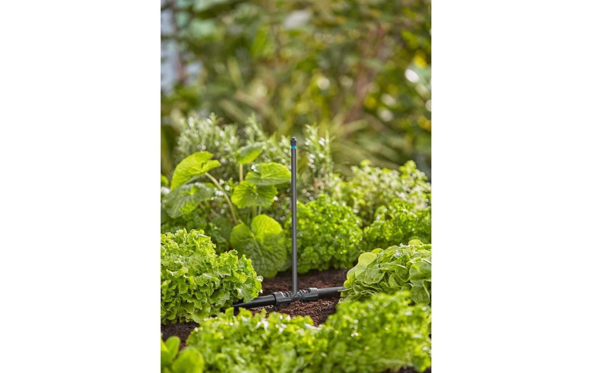 Sprühdüse 360° Micro - Drip - System - MEGART