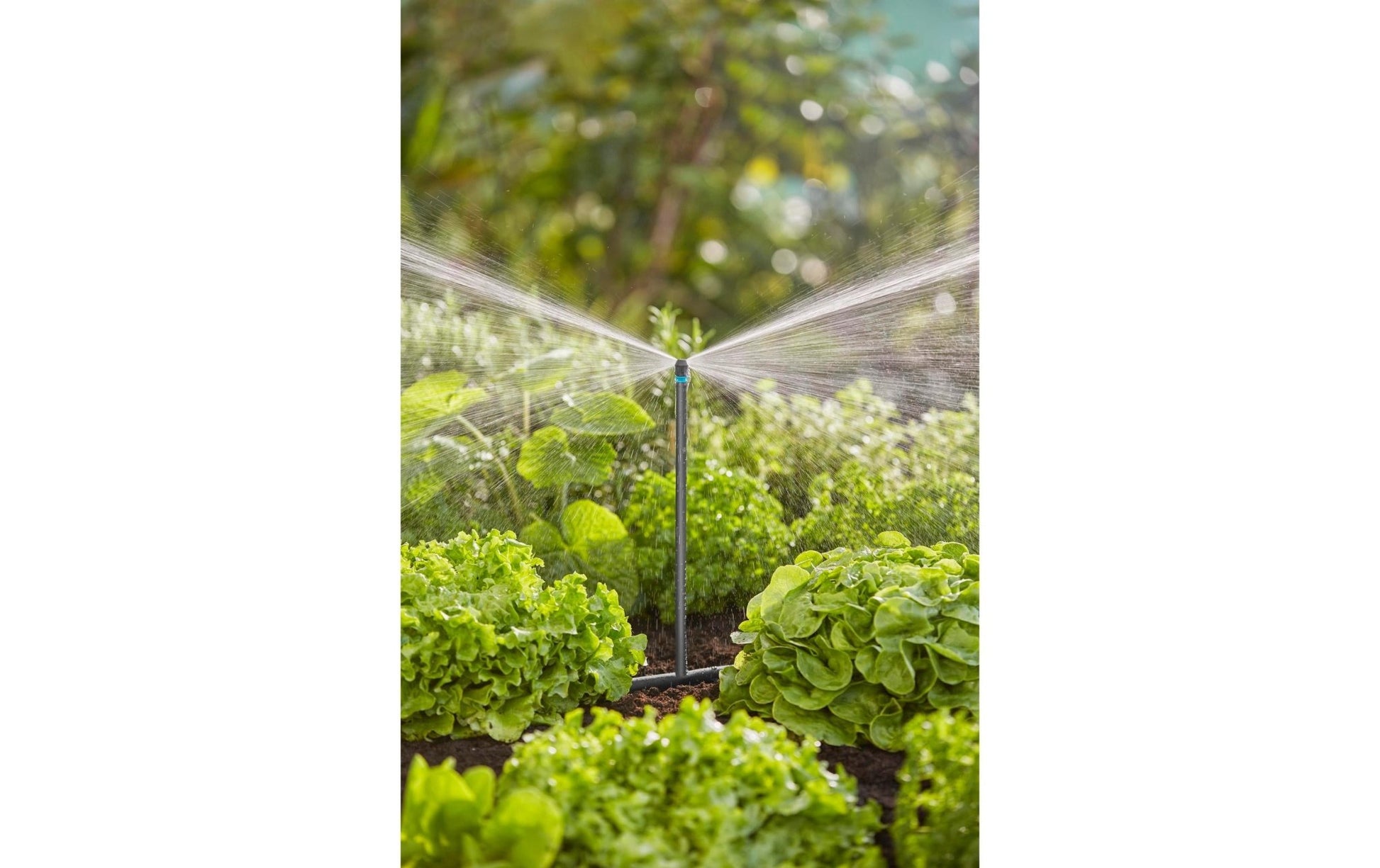 Streifendüse Micro - Drip - System - MEGART