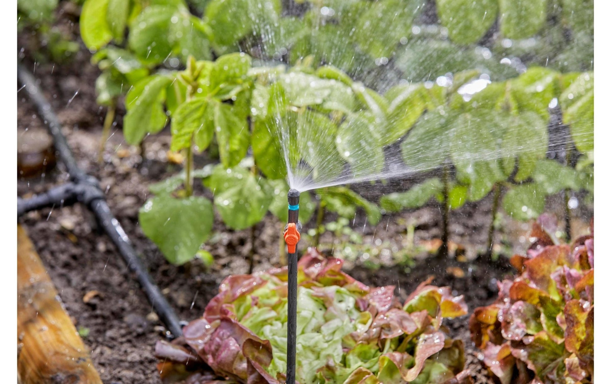 Verlängerungsrohr für Sprühdüsen Micro - Drip - System 5 Stück - MEGART