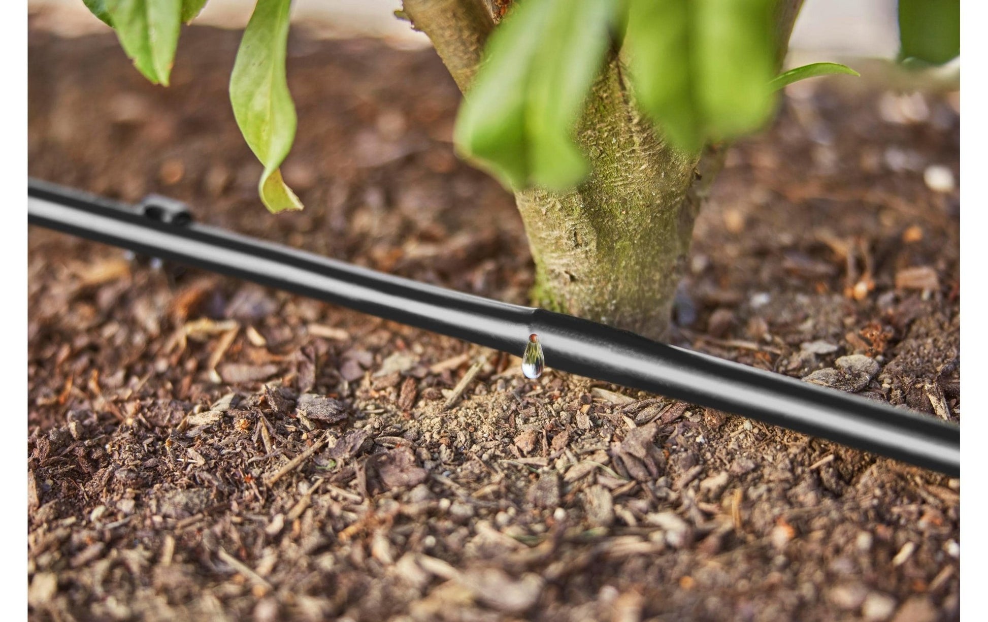 Tropfbewässerung Set 50 m Micro - Drip - System - MEGART
