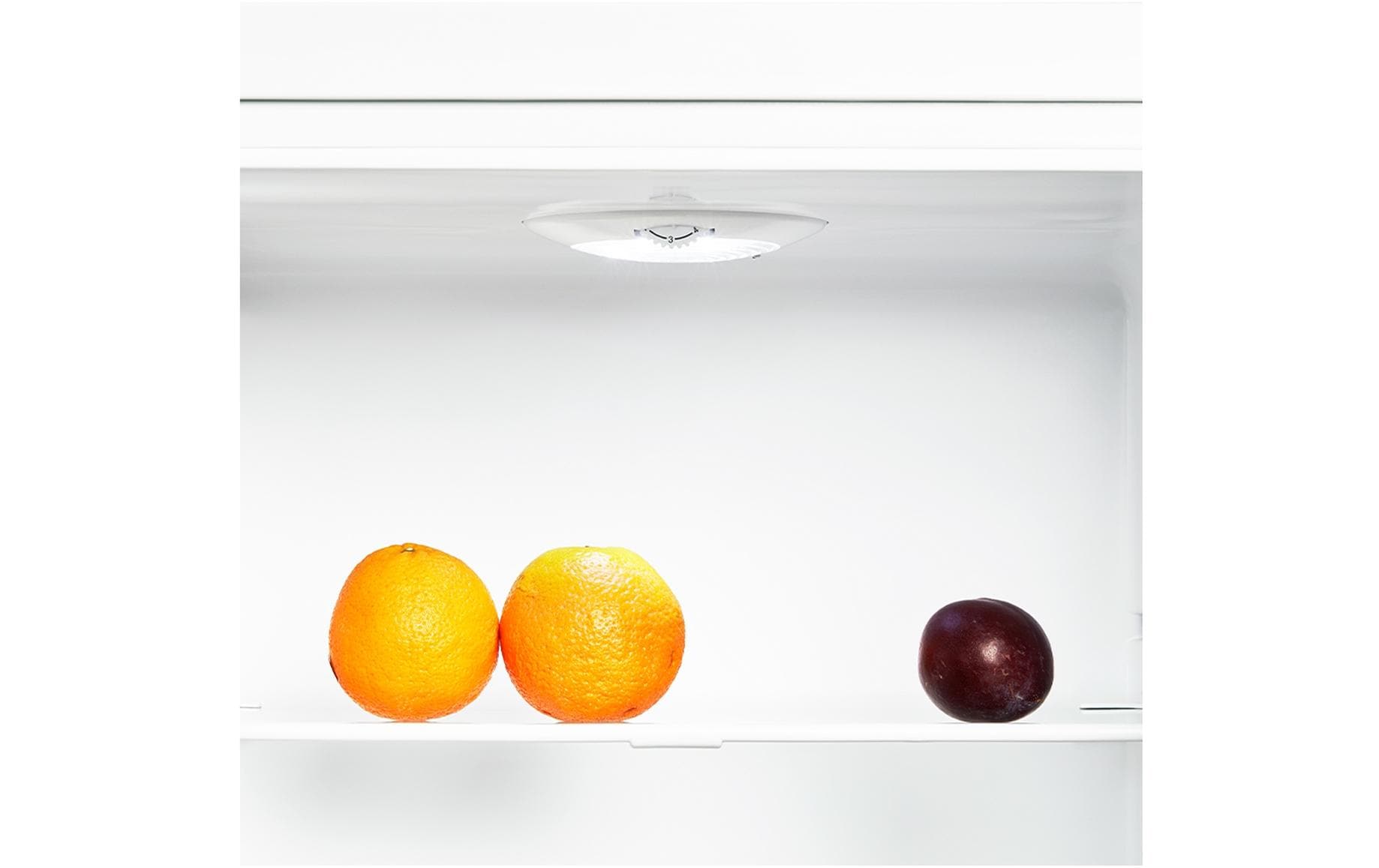 Kühlschrank KS340L Rechts (wechselbar) - MEGART