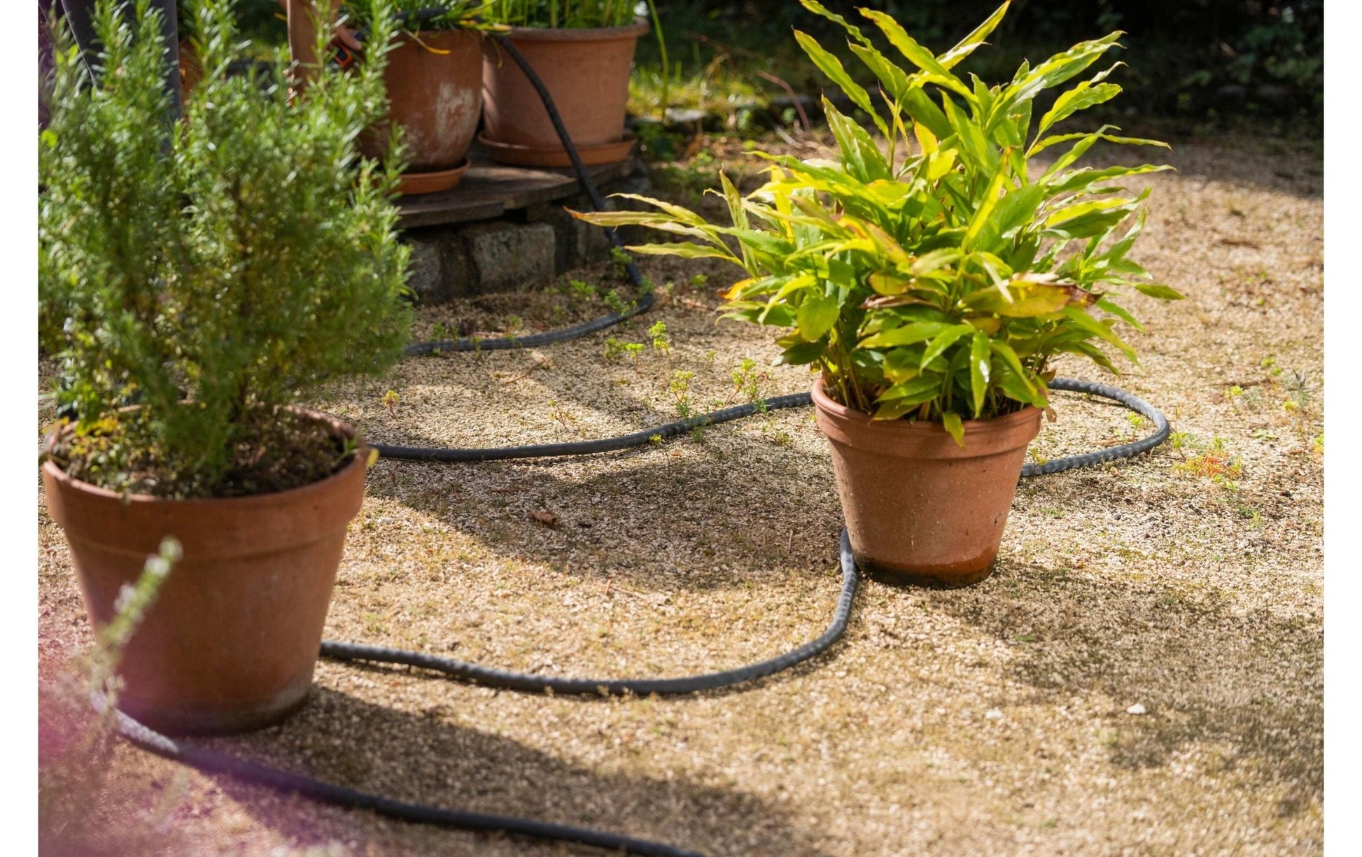 Gartenschlauch Liano Life 1/2, 10 m - MEGART
