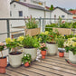 Start - Set Tropfbewässerung für Balkone Micro - Drip - System - MEGART