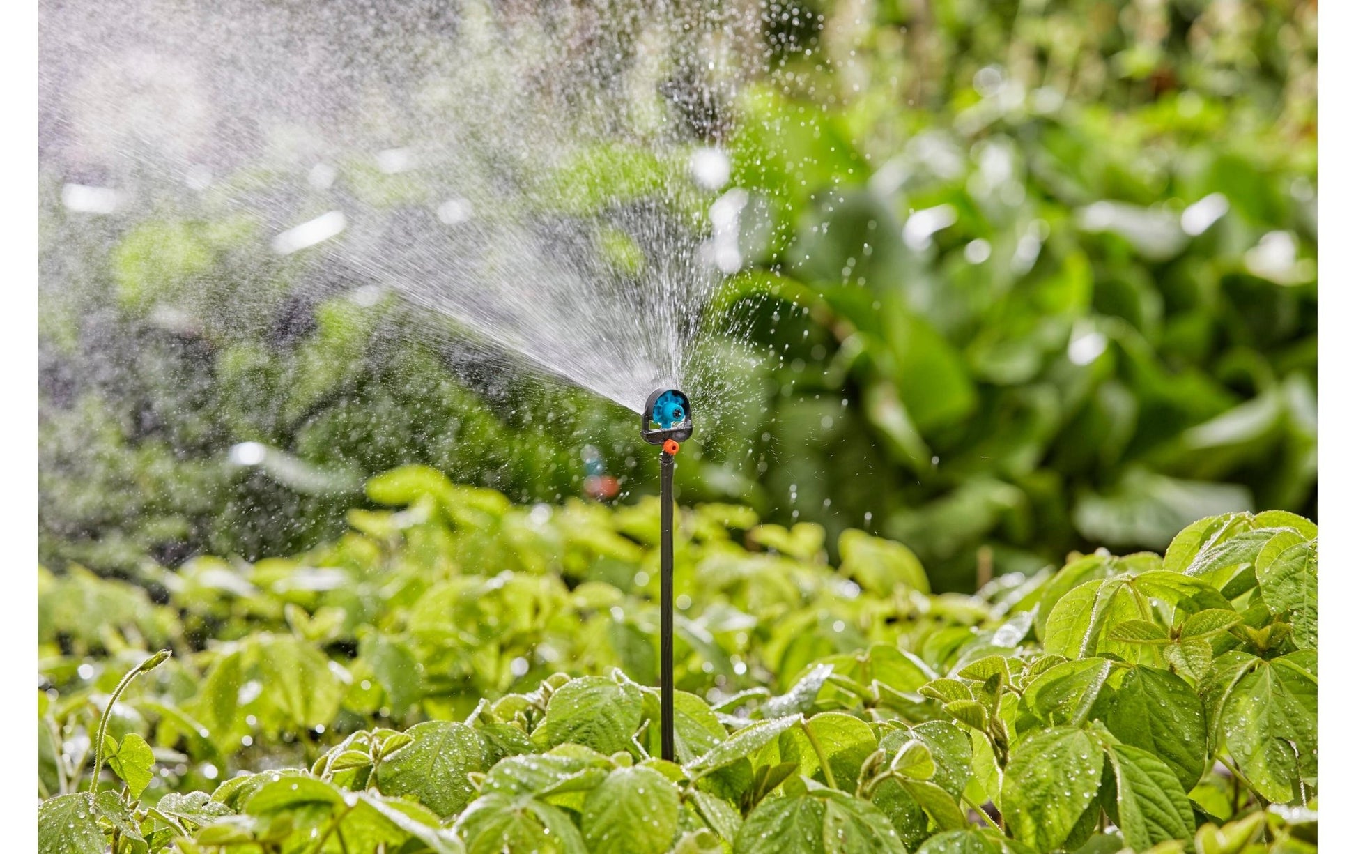 Verlängerungsrohr für Sprühdüsen Micro - Drip - System 5 Stück - MEGART