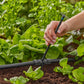 T - Stück für Sprühdüsen Micro - Drip - System 13 mm(1/2) 5 Stück - MEGART