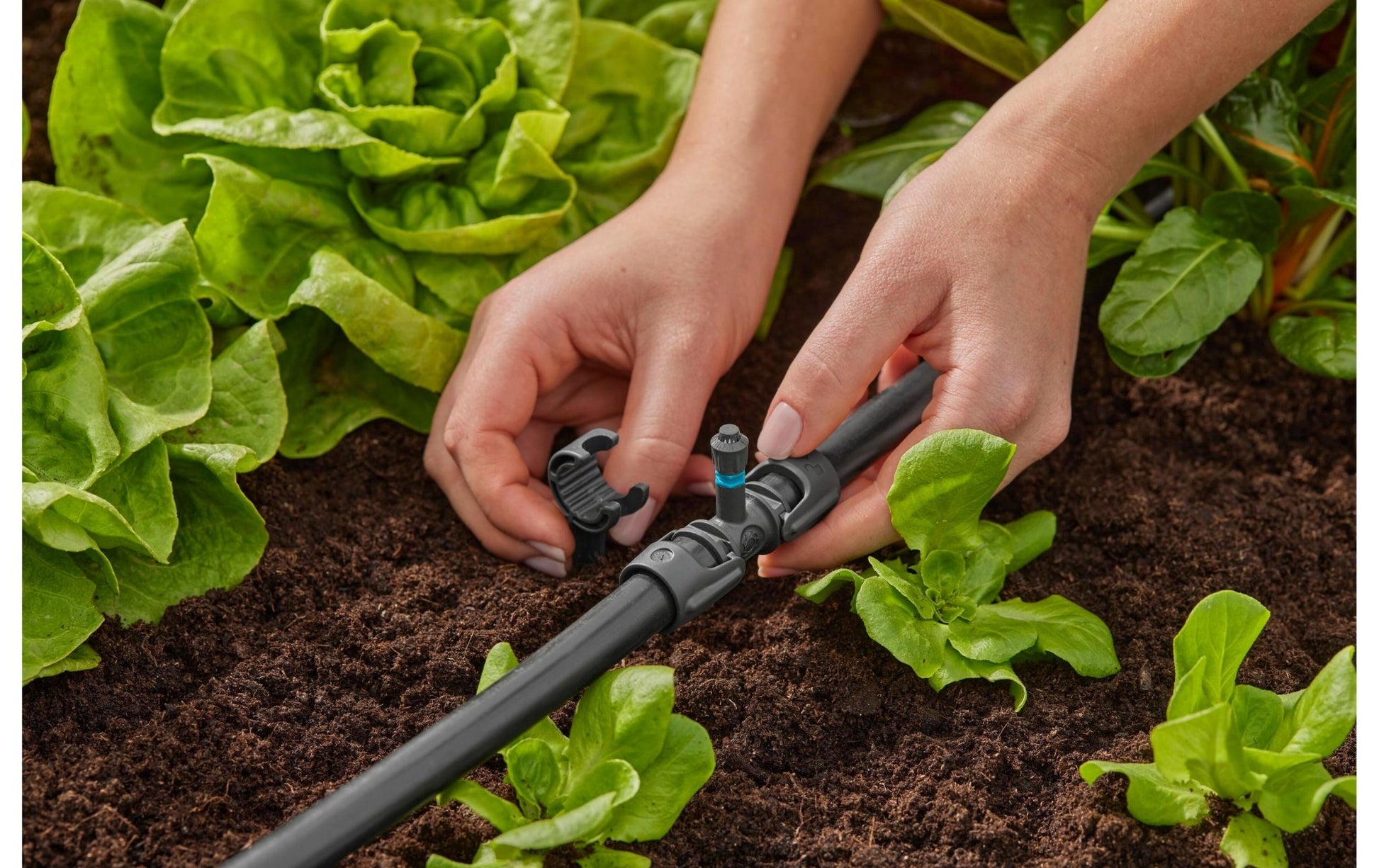 T - Stück für Sprühdüsen Micro - Drip - System 13 mm(1/2) 5 Stück - MEGART