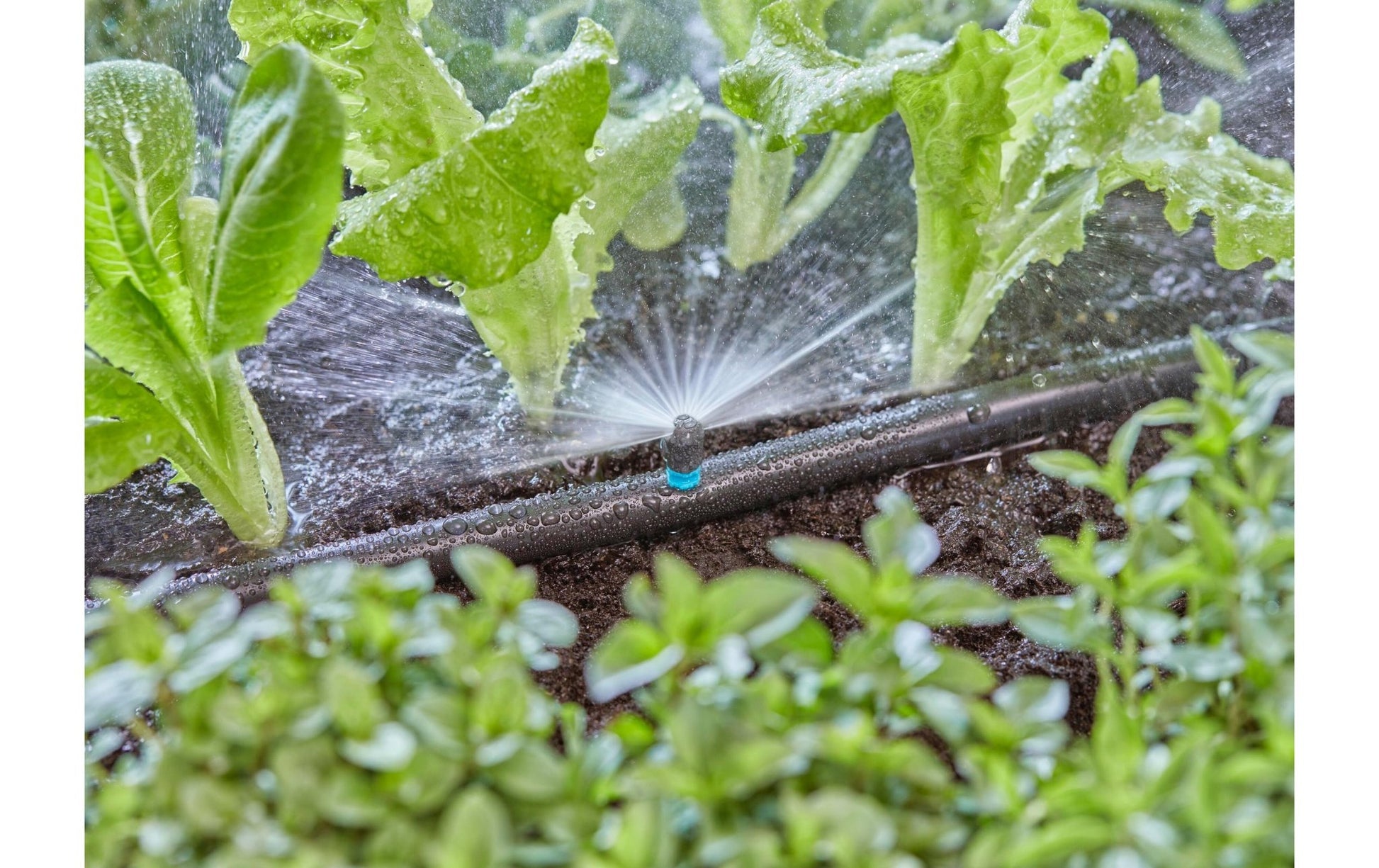 Sprühdüse 180° Micro - Drip - System - MEGART