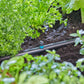 Streifendüse Micro - Drip - System - MEGART