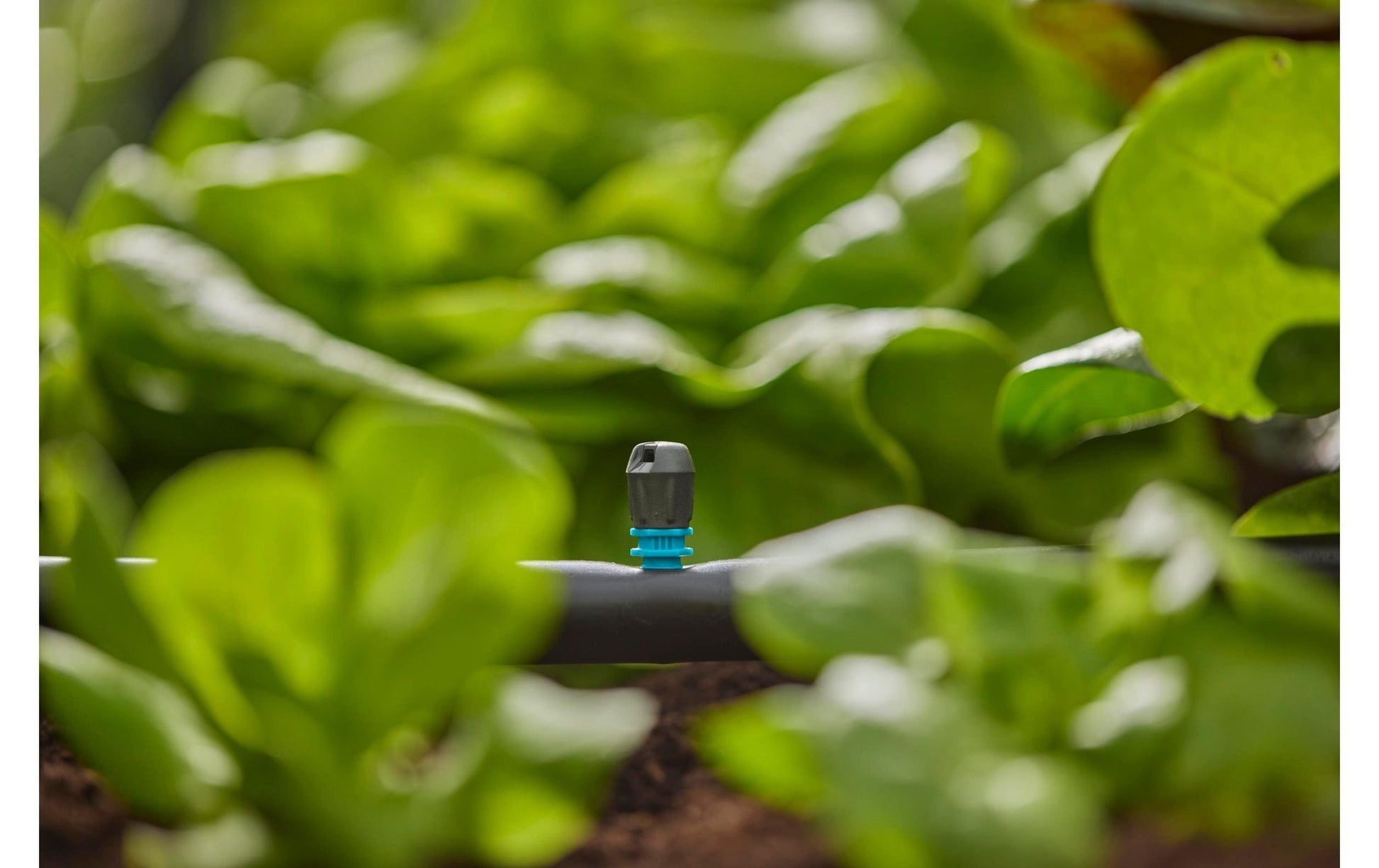 Endstreifendüse Micro - Drip - System - MEGART
