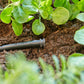 Verschlussstopfen Micro - Drip - System 4.6 mm (3/16), 10 Stück - MEGART