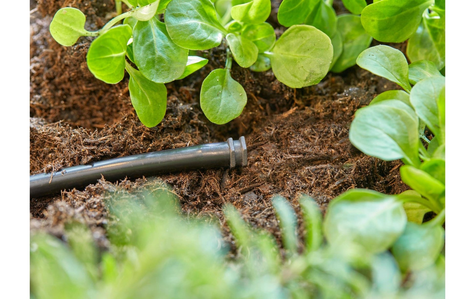 Verschlussstopfen Micro - Drip - System 4.6 mm (3/16), 10 Stück - MEGART