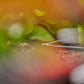L - Stück Micro - Drip - System 3/16, 10 Stück - MEGART