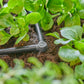 L - Stück Micro - Drip - System 3/16, 10 Stück - MEGART