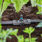 T - Stück für Sprühdüsen Micro - Drip - System 13 mm(1/2) 5 Stück - MEGART