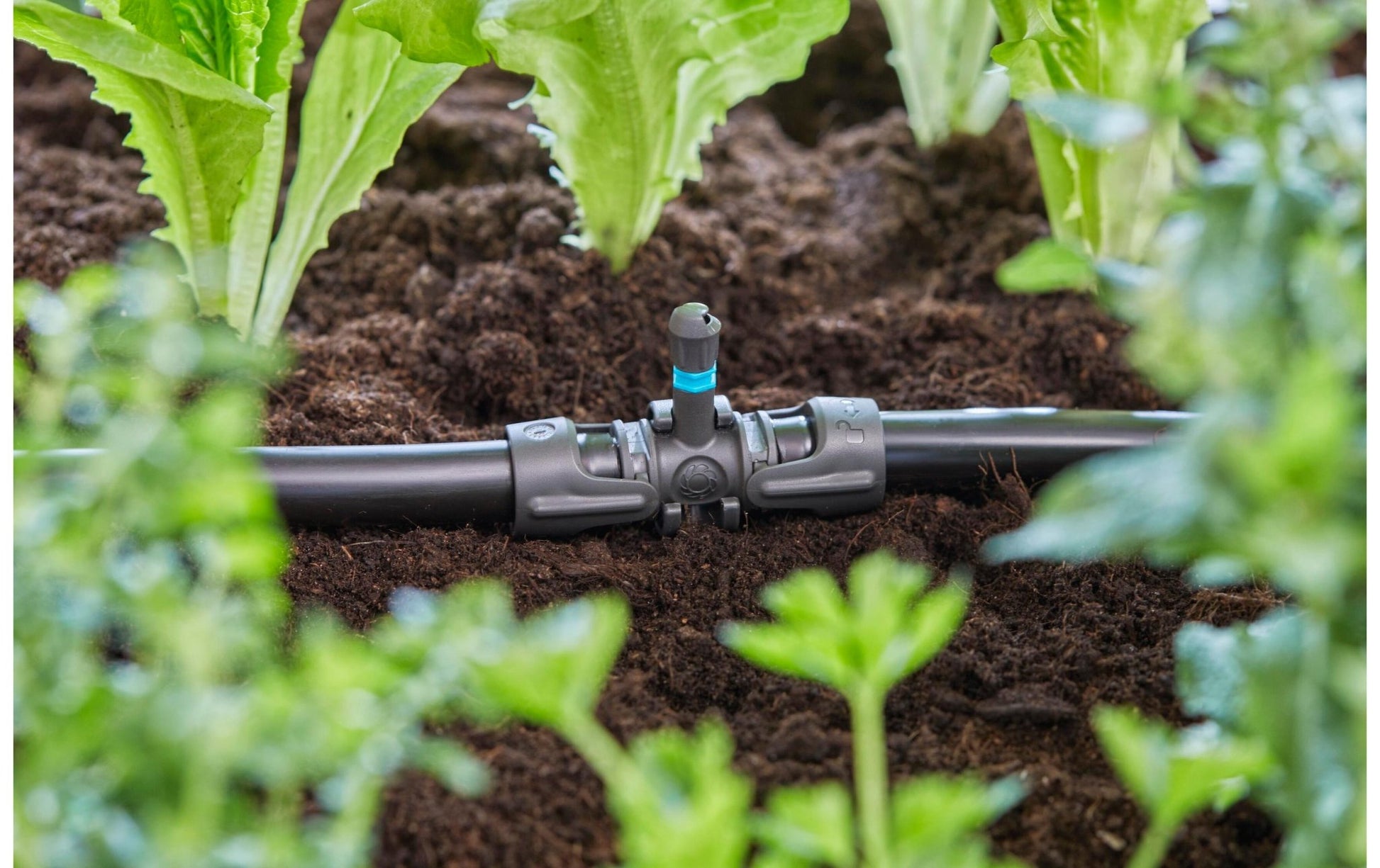 T - Stück für Sprühdüsen Micro - Drip - System 13 mm(1/2) 5 Stück - MEGART