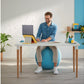 Leitz Sitzball Ergo Cosy Active Grau - MEGART