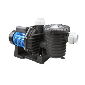 Elettropompa Per Piscina