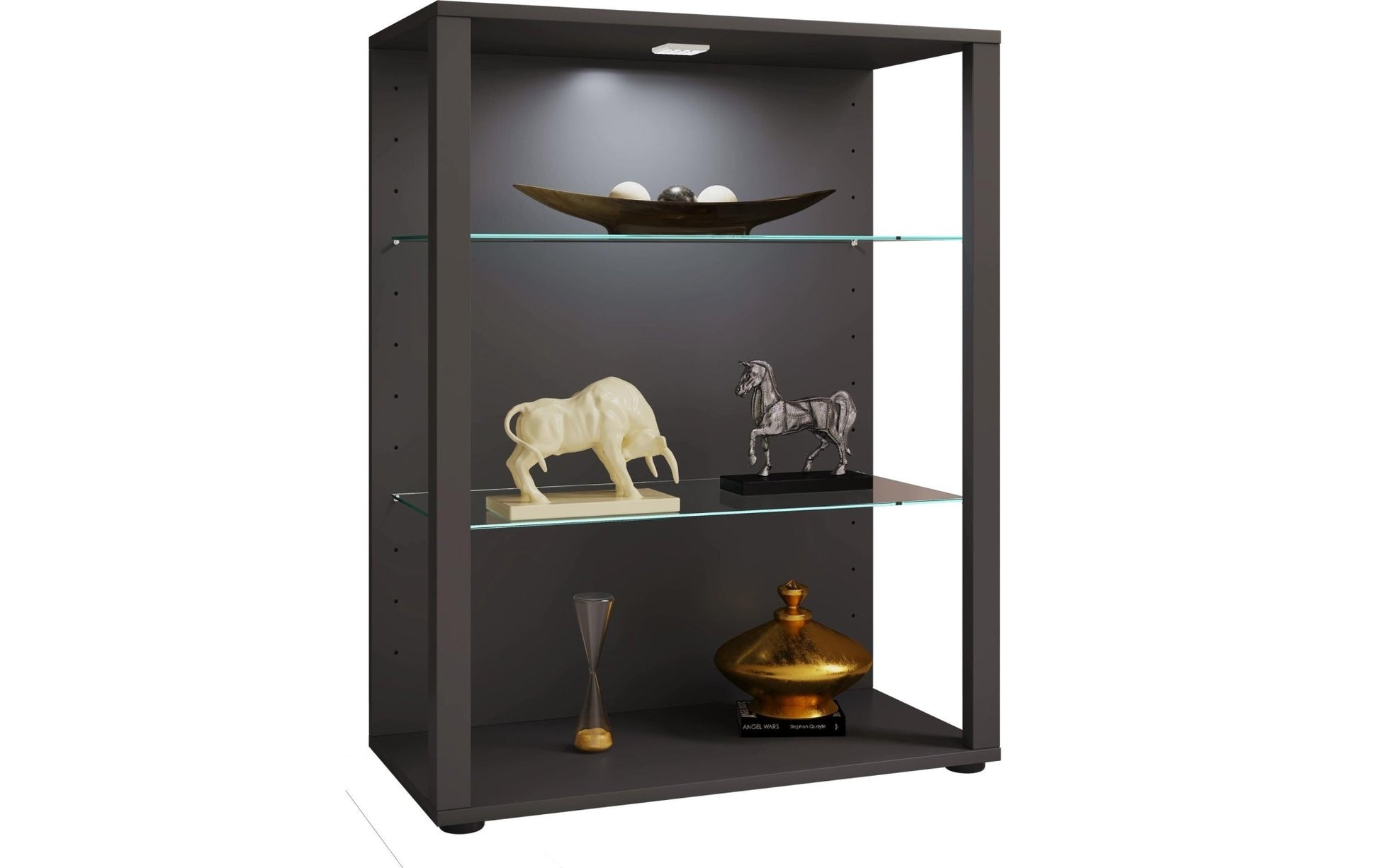 Vitrine Glasol L 70 x 90 cm, Anthrazit - MEGART