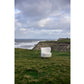 Sessel Crosby Holz/Textil, Cream - MEGART