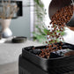 Kaffeevollautomat Evo Next ECAM310.60.GB Schwarz - MEGART