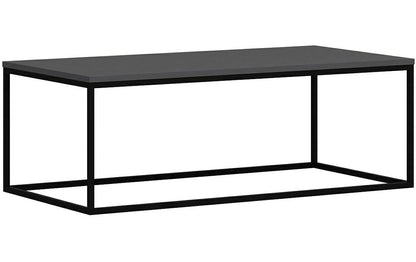 Couchtisch Tiger 120 x 42 cm, Grau - MEGART