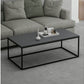 Couchtisch Tiger 120 x 42 cm, Grau - MEGART