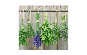 Piastra coprifornello erbe aromatiche