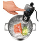 Sous Vide Stick Time 58915