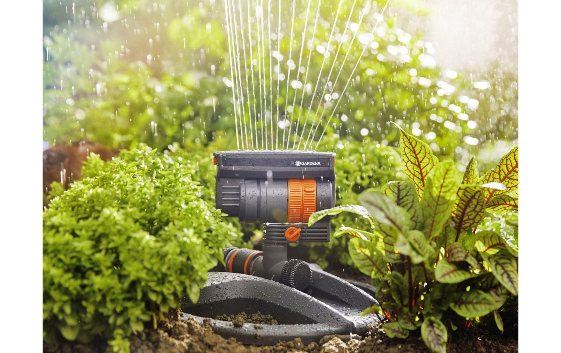 Viereckregner AquaZoom compact - MEGART