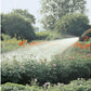 Wasserbrause Spritz - Brause - MEGART