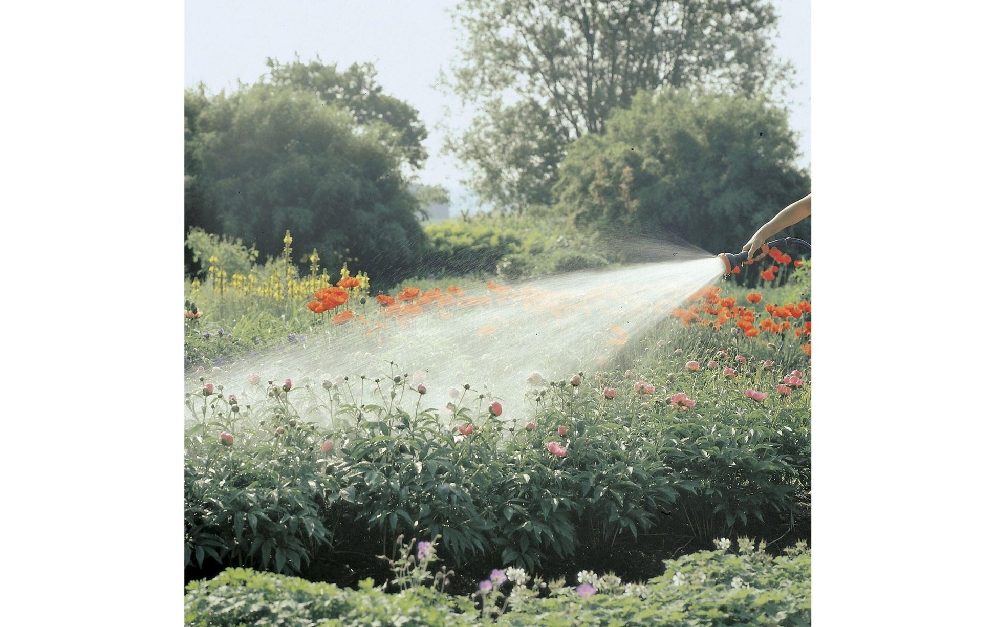 Wasserbrause Spritz - Brause - MEGART