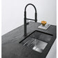 Pescara Auszugsbrause Black Matt 115.0545.136 - MEGART