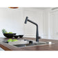 Icon Auszugsbrause Black Matt 115.0625.190 - MEGART