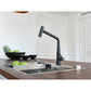 Icon Auszugsbrause Black Matt 115.0625.190 - MEGART