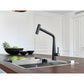 Icon Auszugsbrause Black Matt 115.0625.190 - MEGART