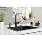 Active Auszugsbrause Black Matt 115.0653.382 - MEGART